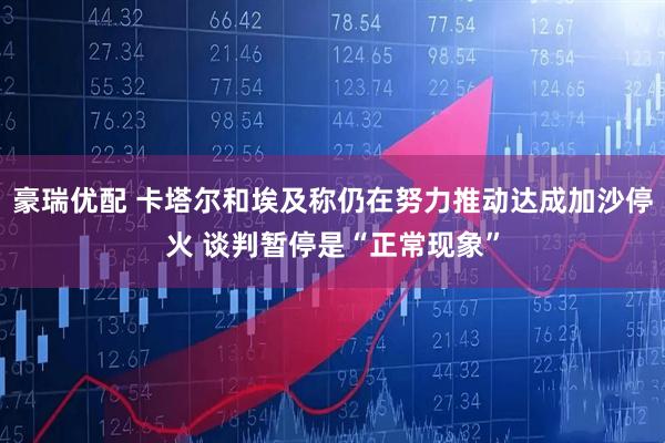 豪瑞优配 卡塔尔和埃及称仍在努力推动达成加沙停火 谈判暂停是“正常现象”