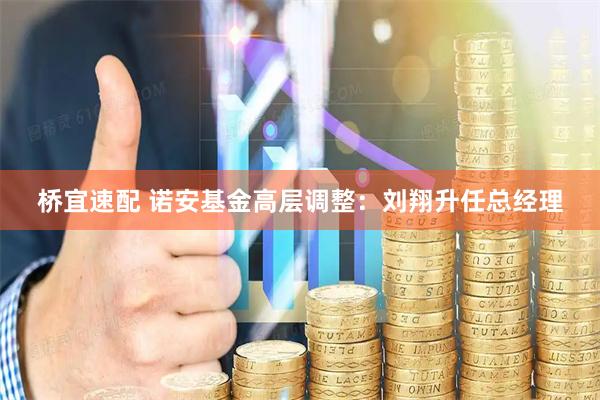 桥宜速配 诺安基金高层调整：刘翔升任总经理